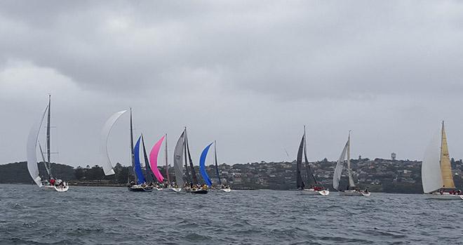Spinnakers added colour to an otherwise dull morning yesterday © CYCA Staff